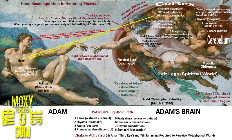 Creation Of Adam