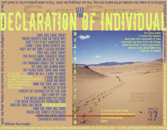 Declaration Of Individual